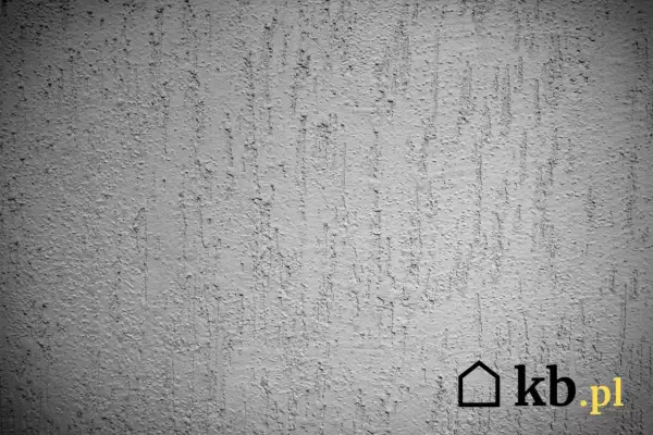 Szara ściana z fakturą tynku kornik, imitującą ślady po żerowaniu owadów.